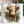 Baby Highland Cow Christmas | Tumbler