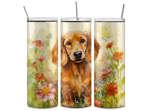 Long Haired Dachshund | Tumbler