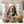 Dog Lovers Basset Hound 3 | Tumbler